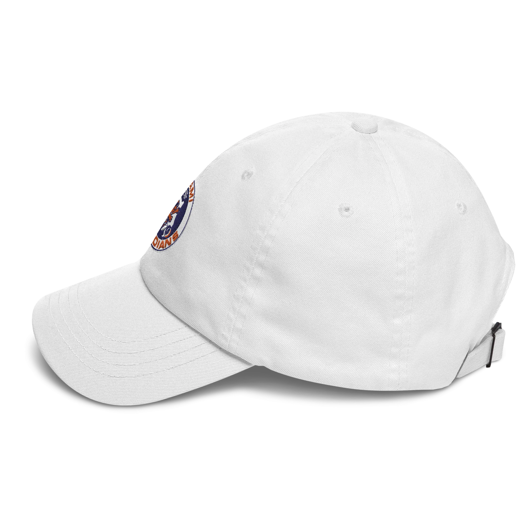 Miami Floridians Basketball Dad Hat